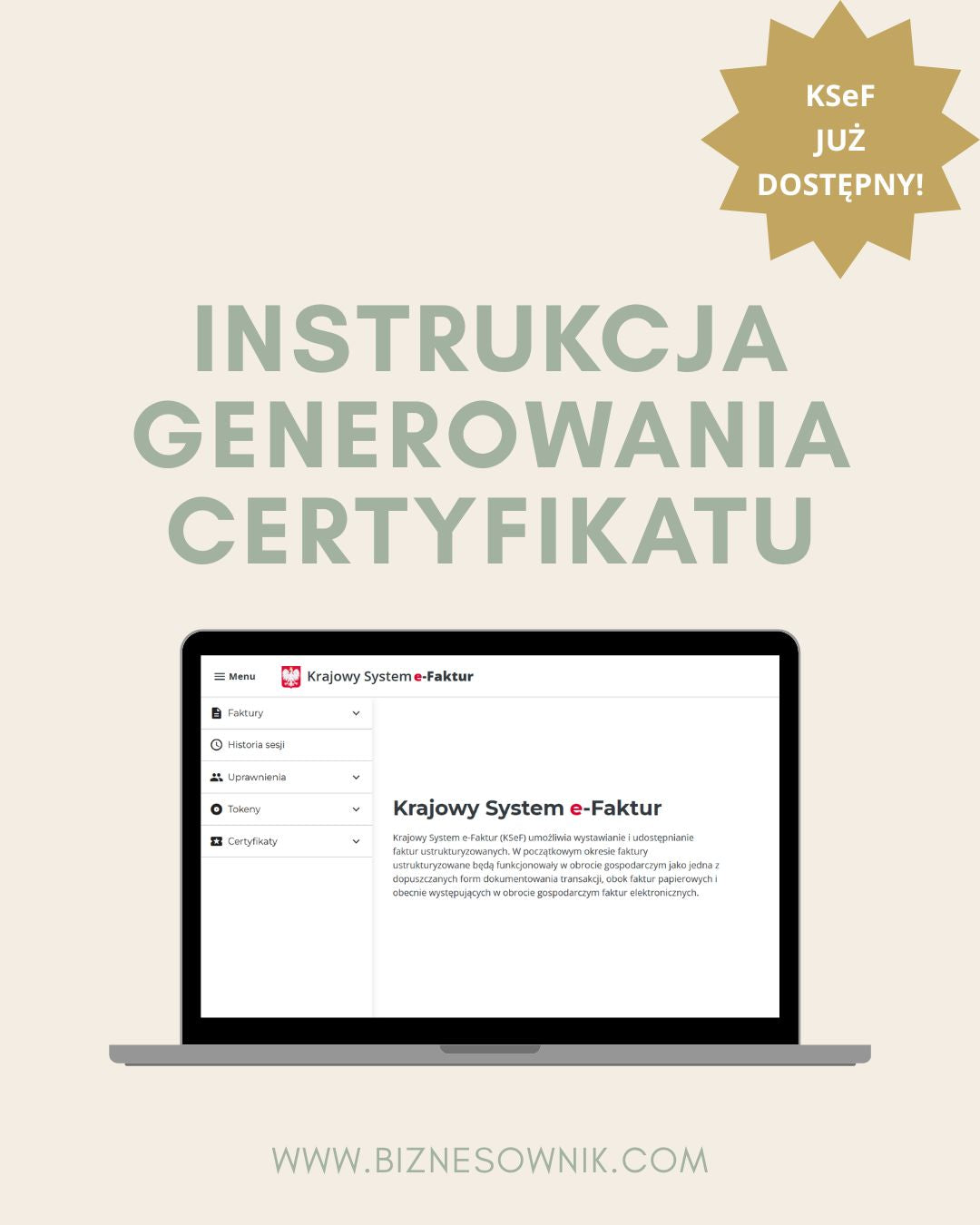 KSeF - Instrukcja generowania certyfikatu